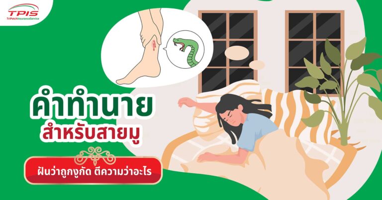 คำทำนายสำหรับสายมู ฝันว่าถูกงูกัด ตีความว่าอะไร