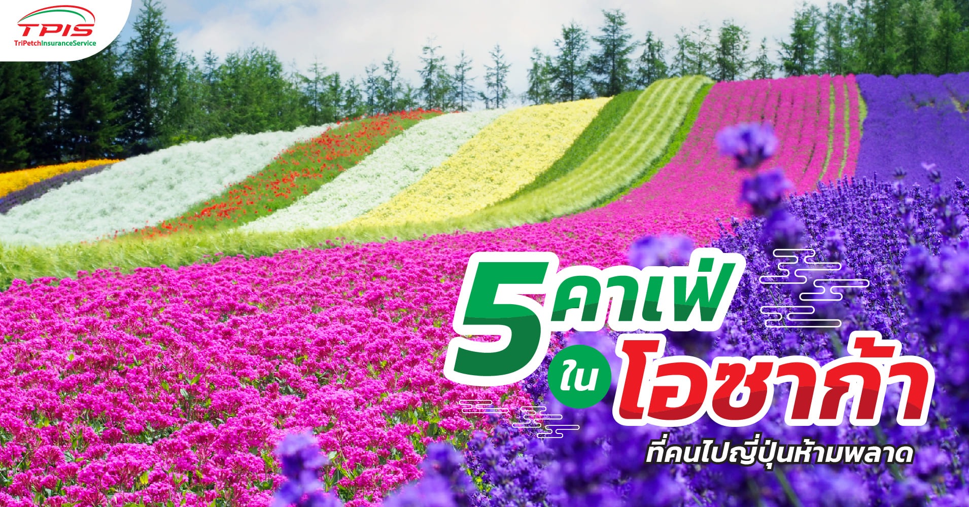 5 คาเฟ่ในโอซาก้า ที่คนไปญี่ปุ่นห้ามพลาด