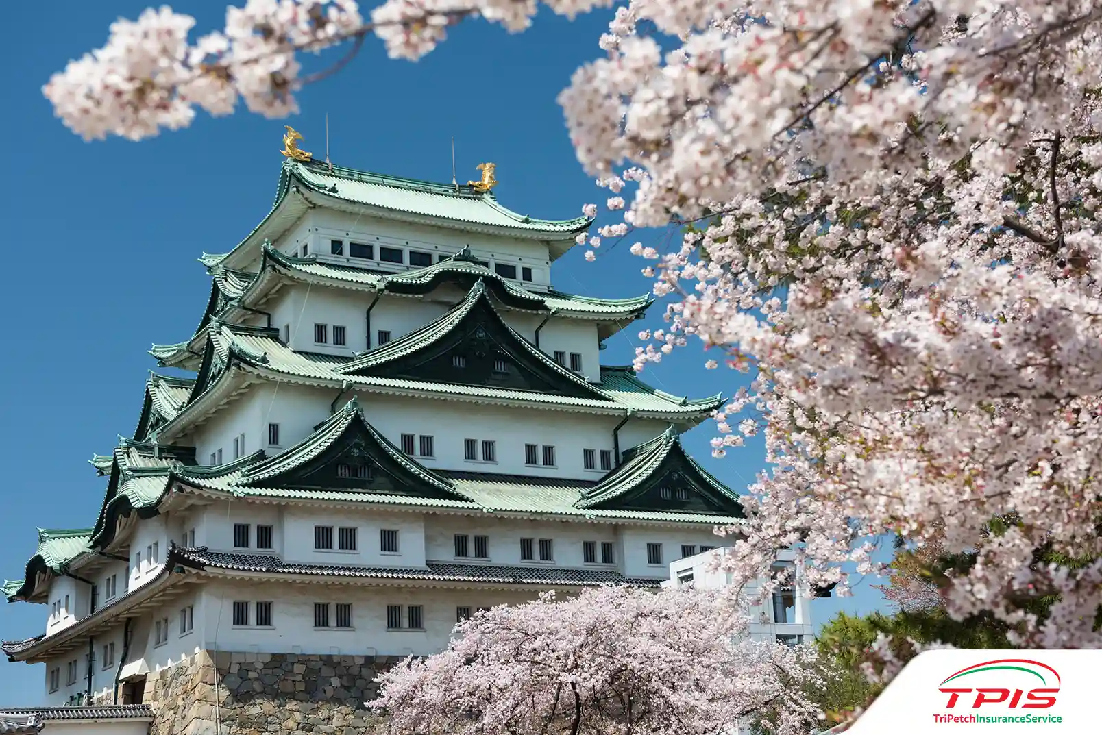 2. ปราสาทนาโกย่า (Nagoya Castle)