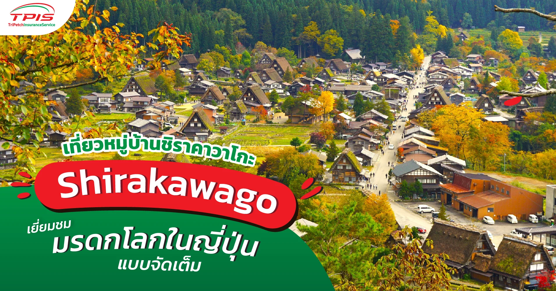 เที่ยวหมู่บ้านชิราคาวาโกะ Shirakawago เยี่ยมชมมรดกโลกในญี่ปุ่น แบบจัดเต็ม