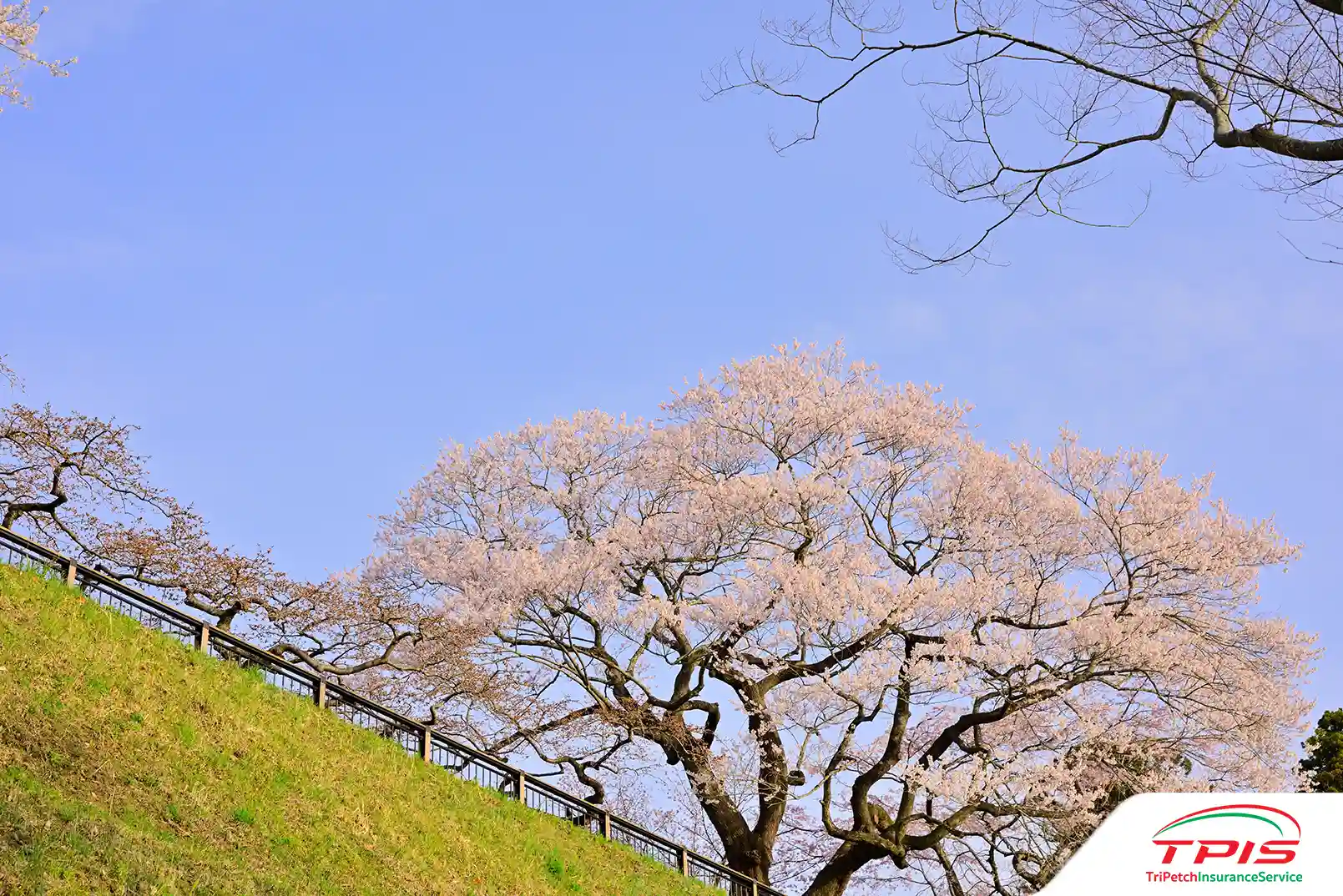 ปราสาทอาโอบะ (Aoba Castle)